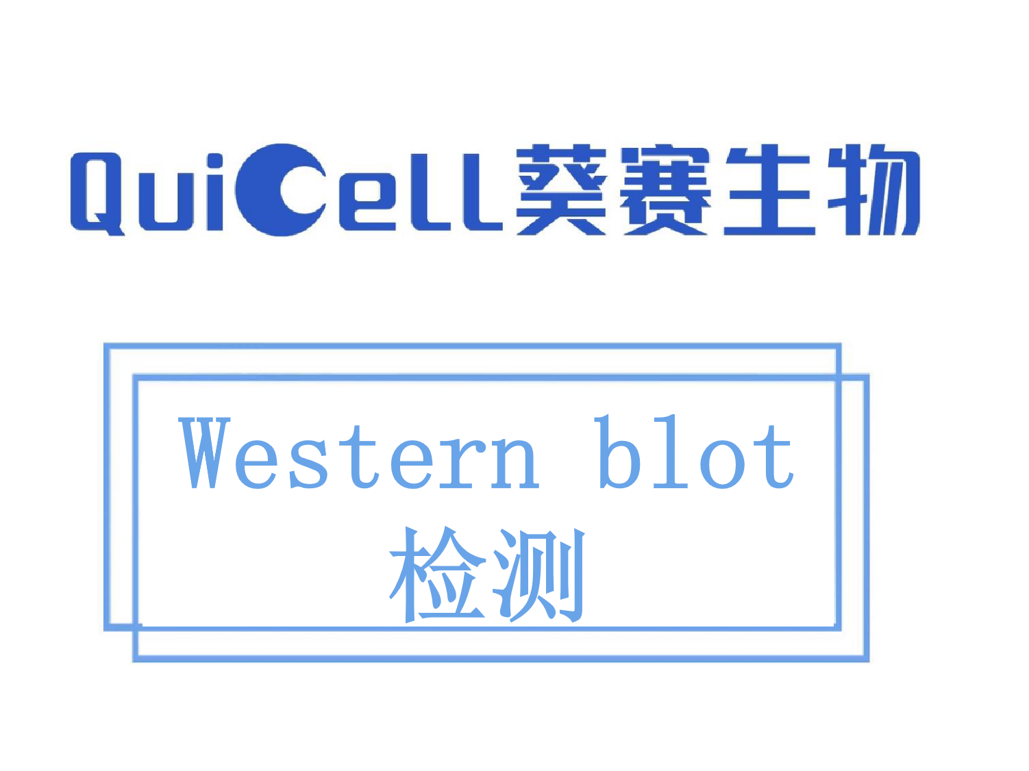 WB检测