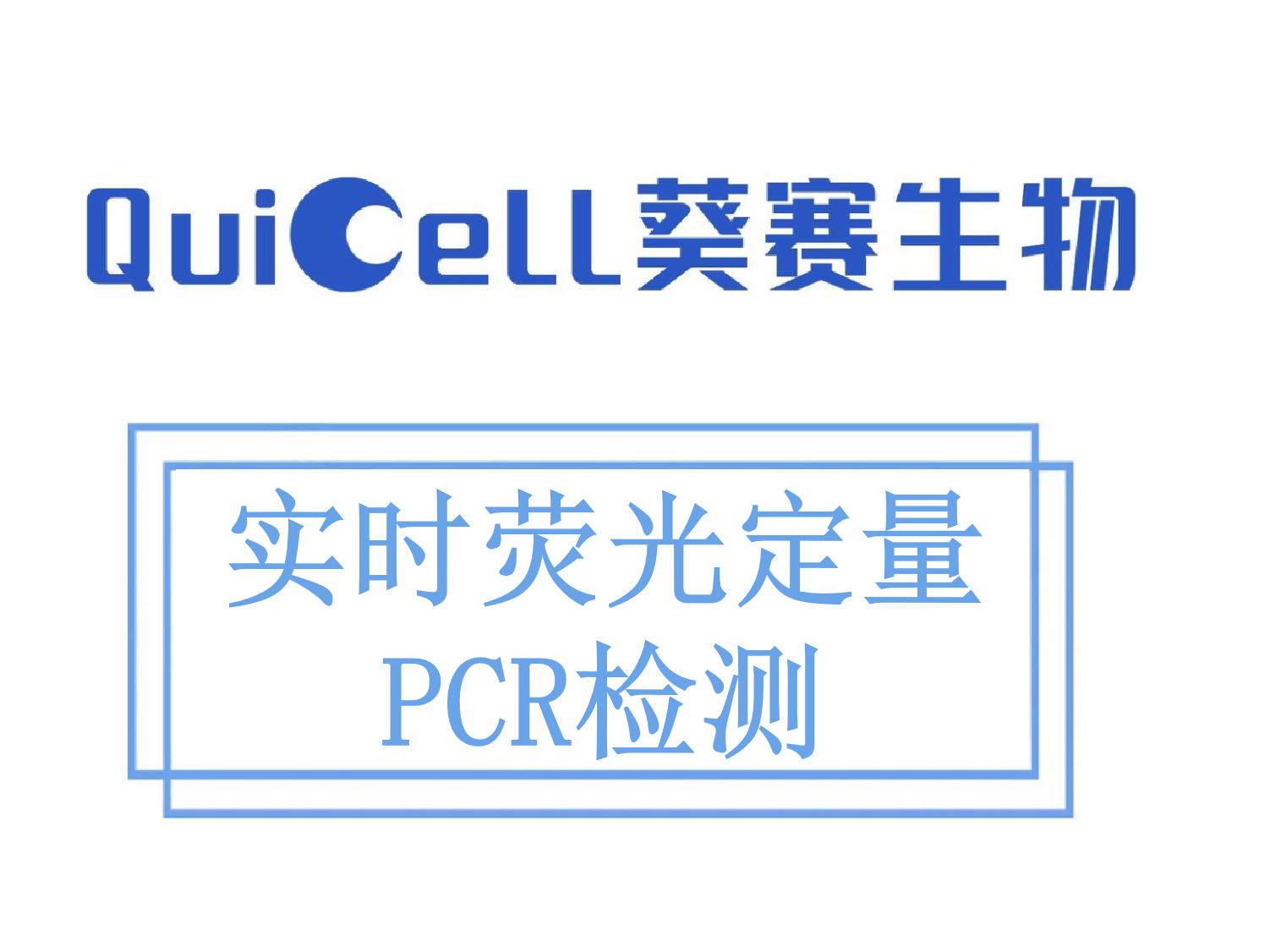 实时荧光定量PCR检测