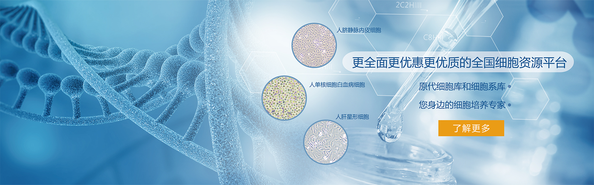 通栏图片