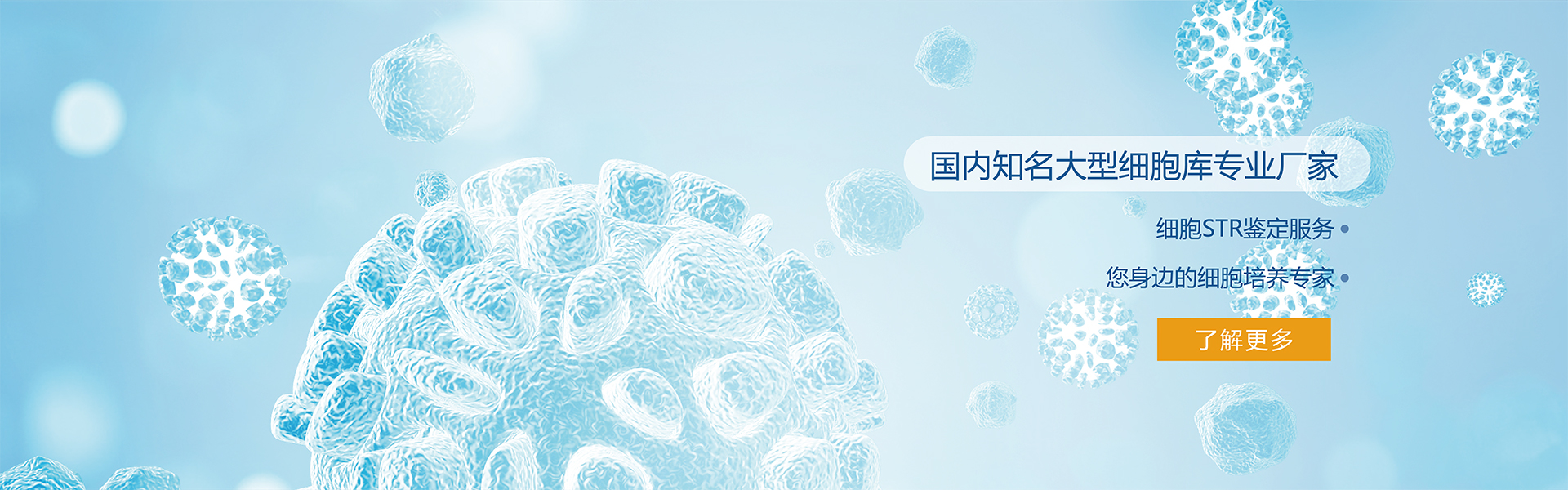 通栏图片2